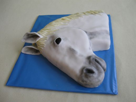 kůň bílý -2